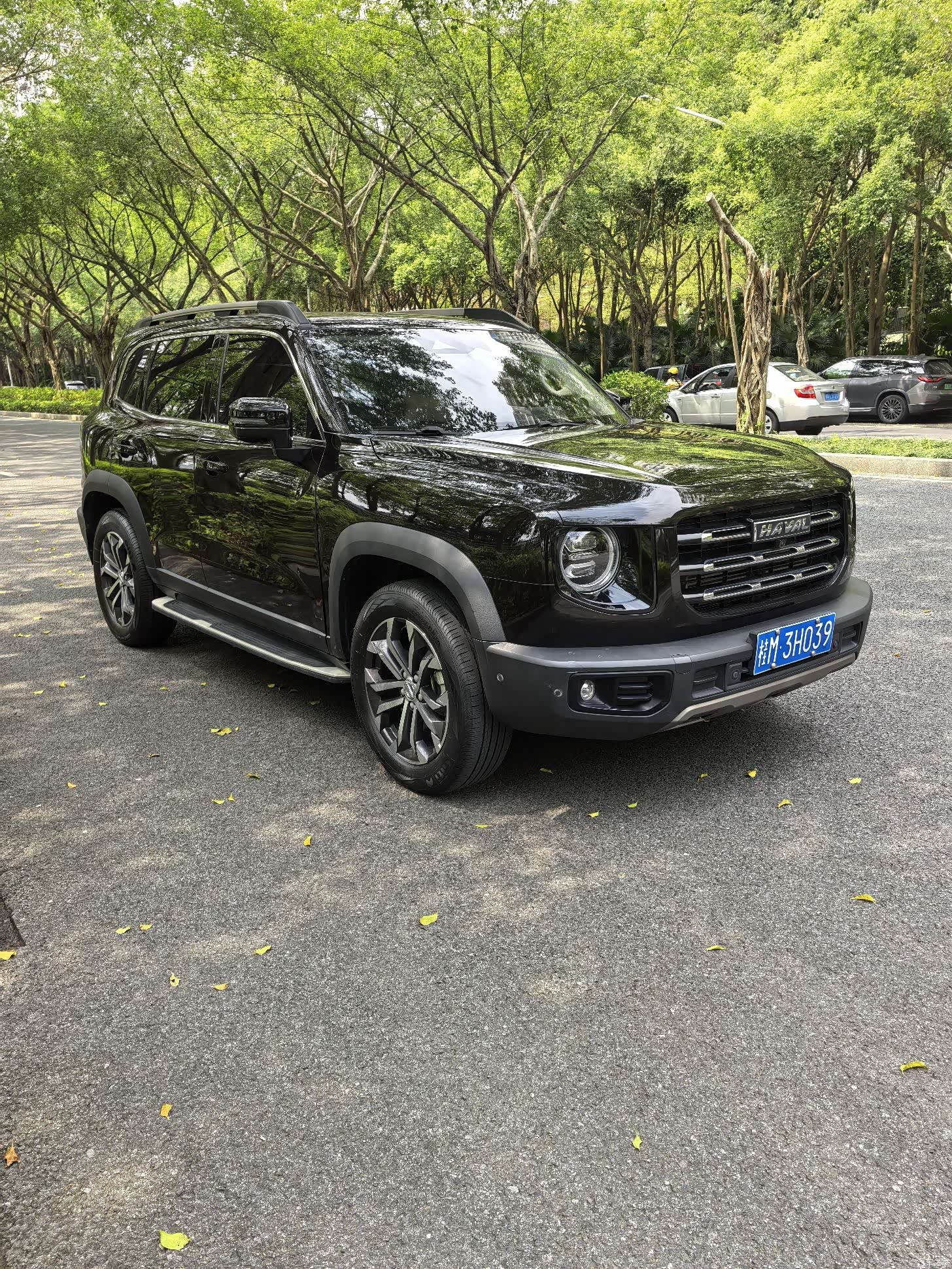 Haval Big Dog, 2021 11