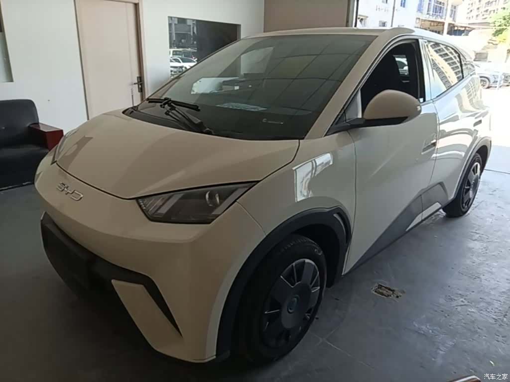 BYD Seagull, 2024 1