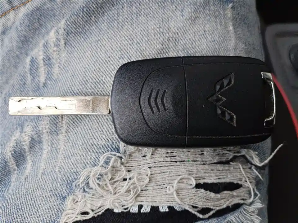 Wuling Wuling Yangguang