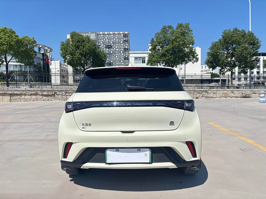 BYD Dolphin 2023, фото 5