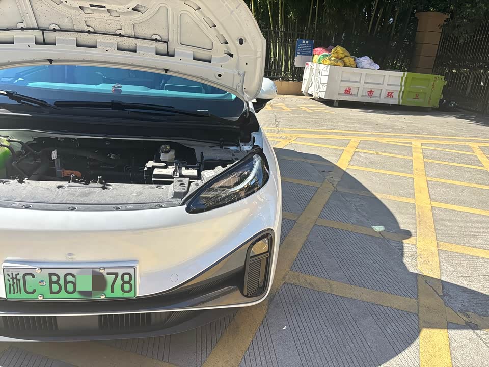 ARCFOX Polar Fox Koala S