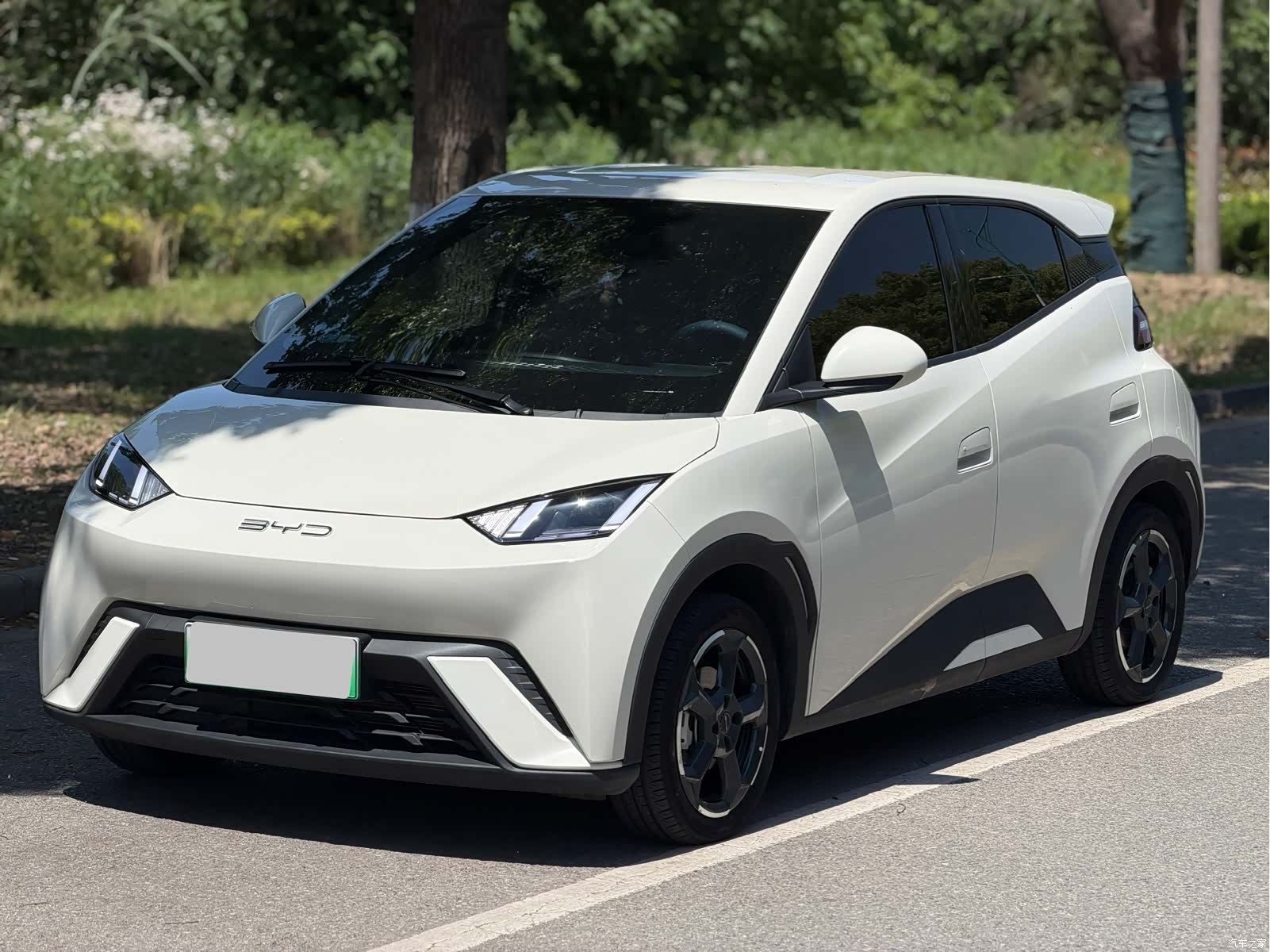 BYD Seagull, 2024 1