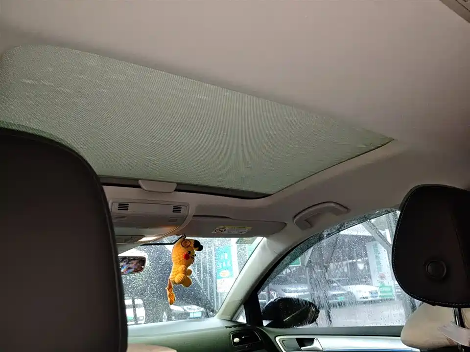 Volkswagen Golf*pure electricity