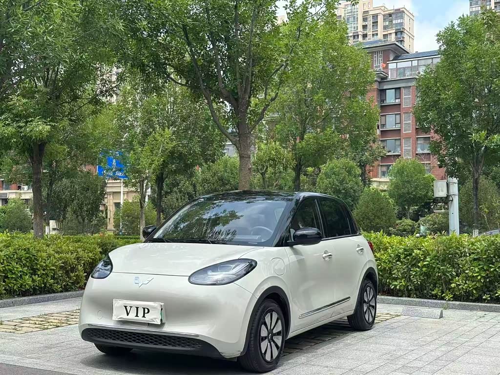 Wuling Binguo