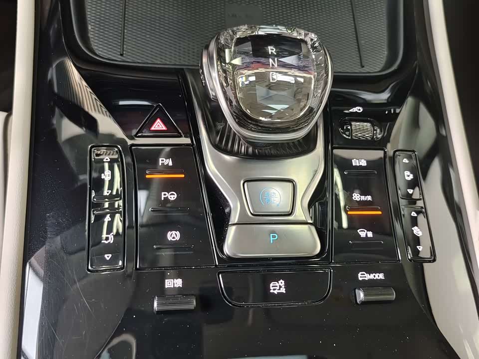 Denza D9 Denza D9