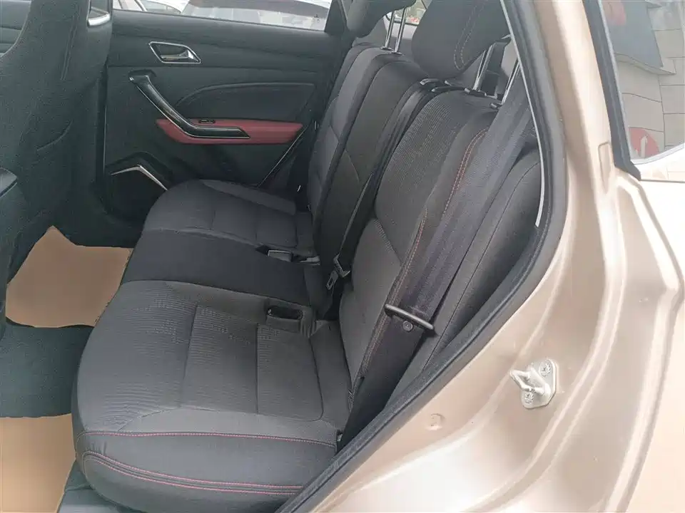 Leopaard Cheetah CS9