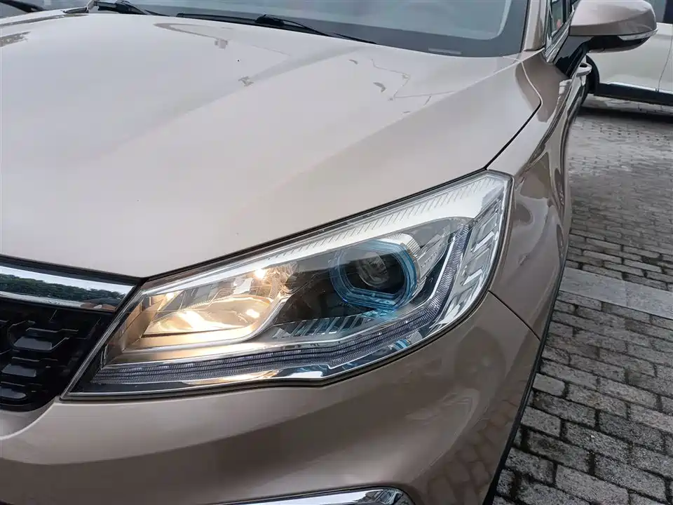 Leopaard Cheetah CS9