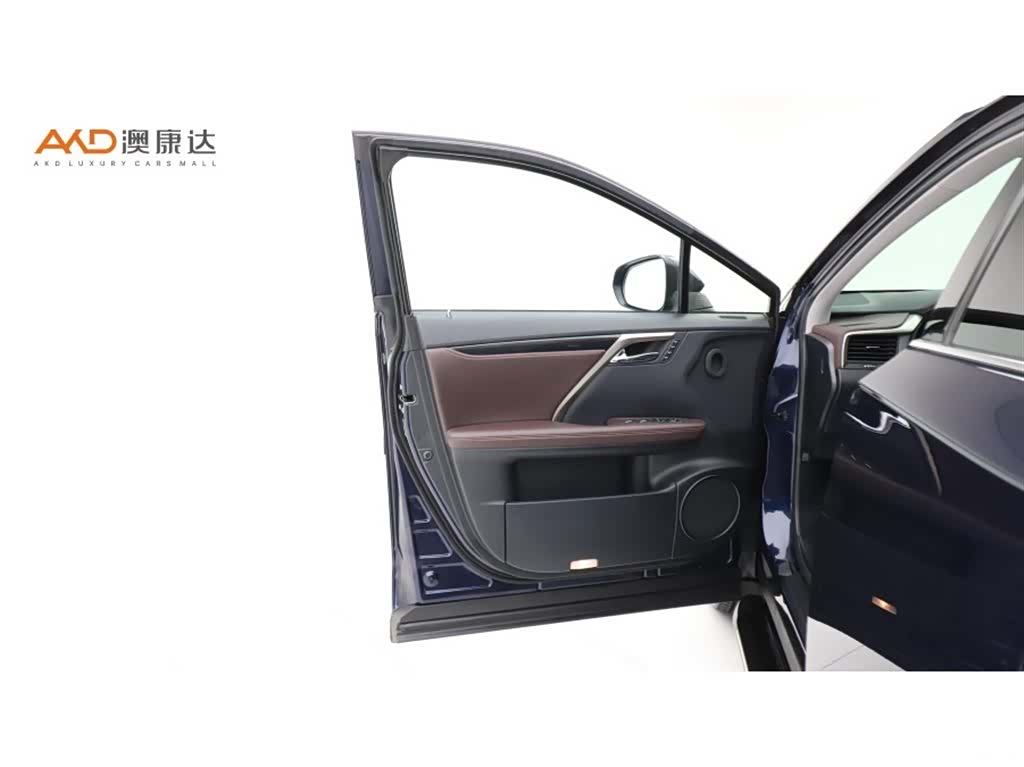 Lexus RX, 2020 10