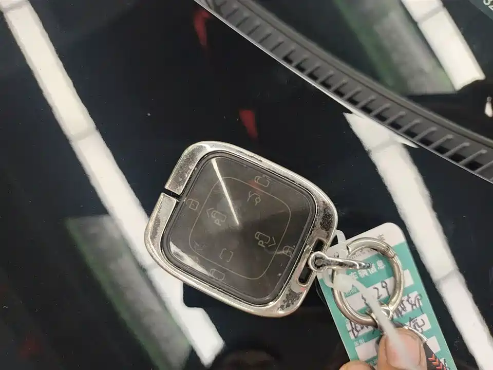 Zeekr 009