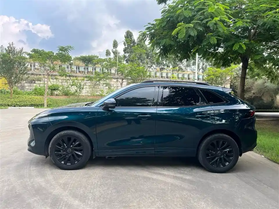 Forthing Popular T5 EVO