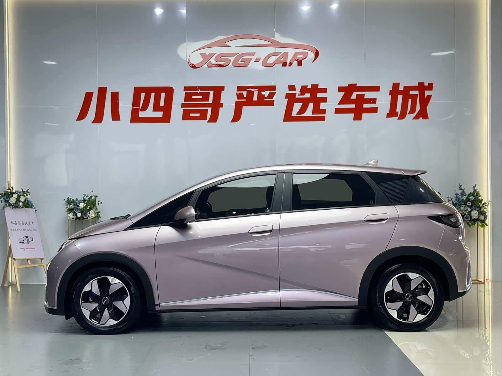 BYD Dolphin, 2024 3