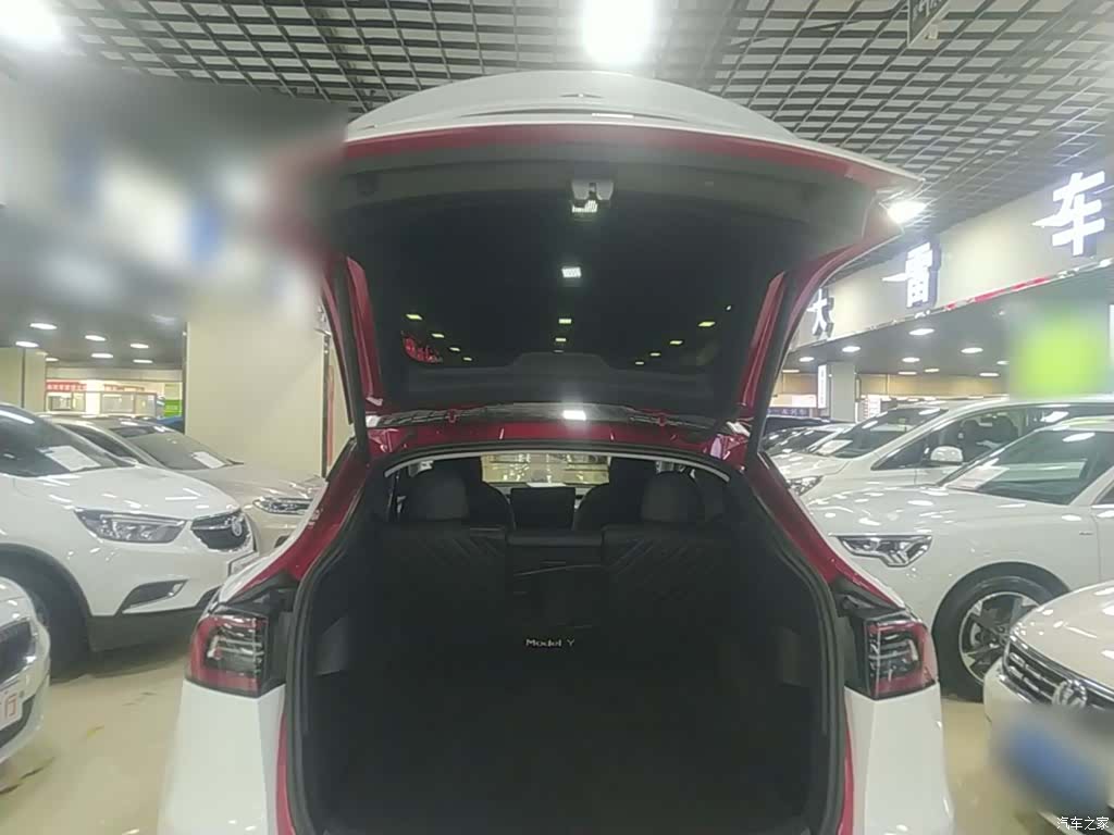 Tesla Model Y, 2021 19