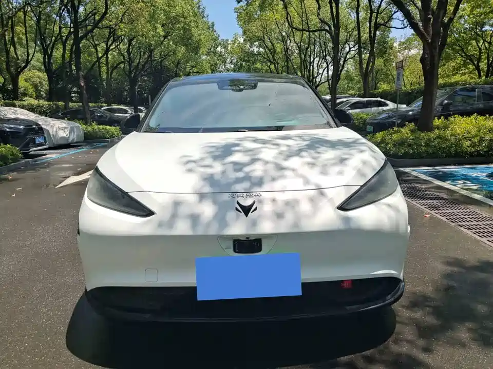 ARCFOX Polar Fox Alpha S