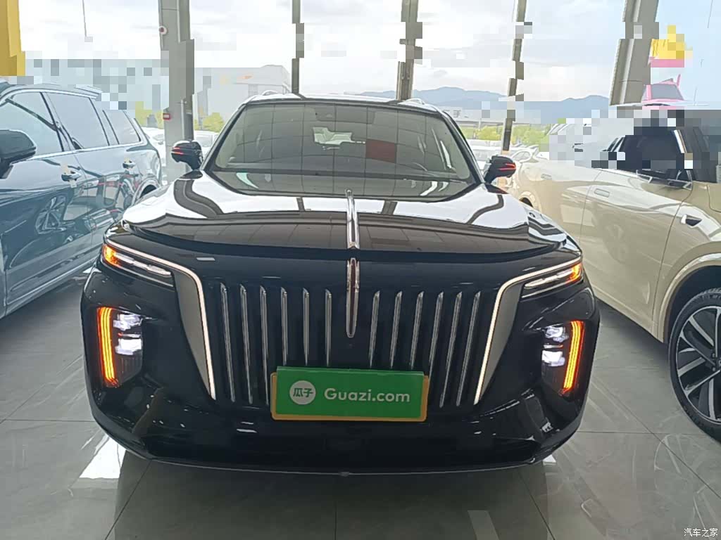 Hongqi E-HS9, 2023 3