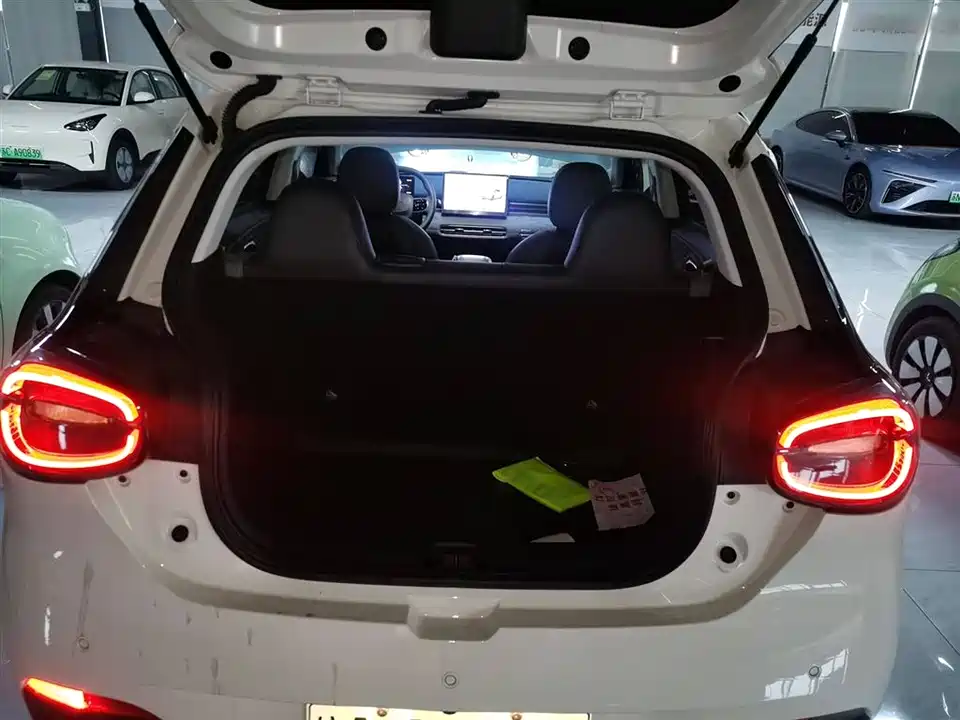 Dongfeng Nammi Nano 01