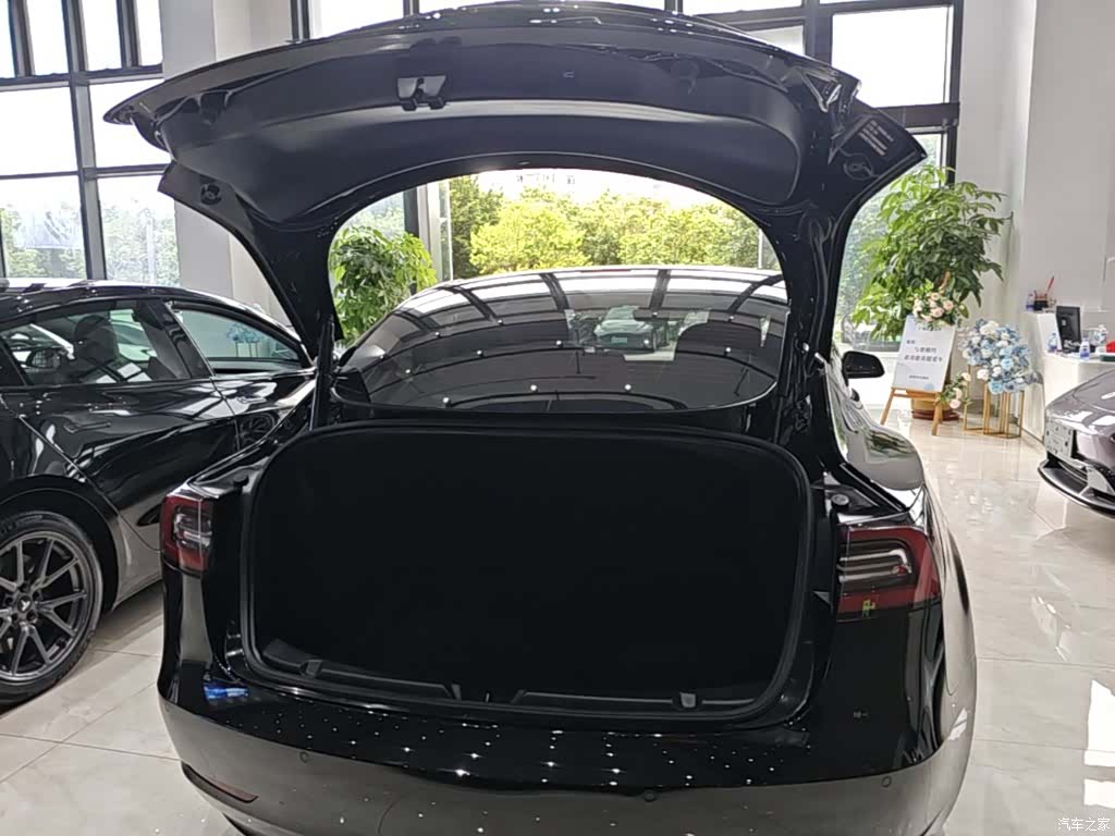 Tesla Model 3, 2021 19