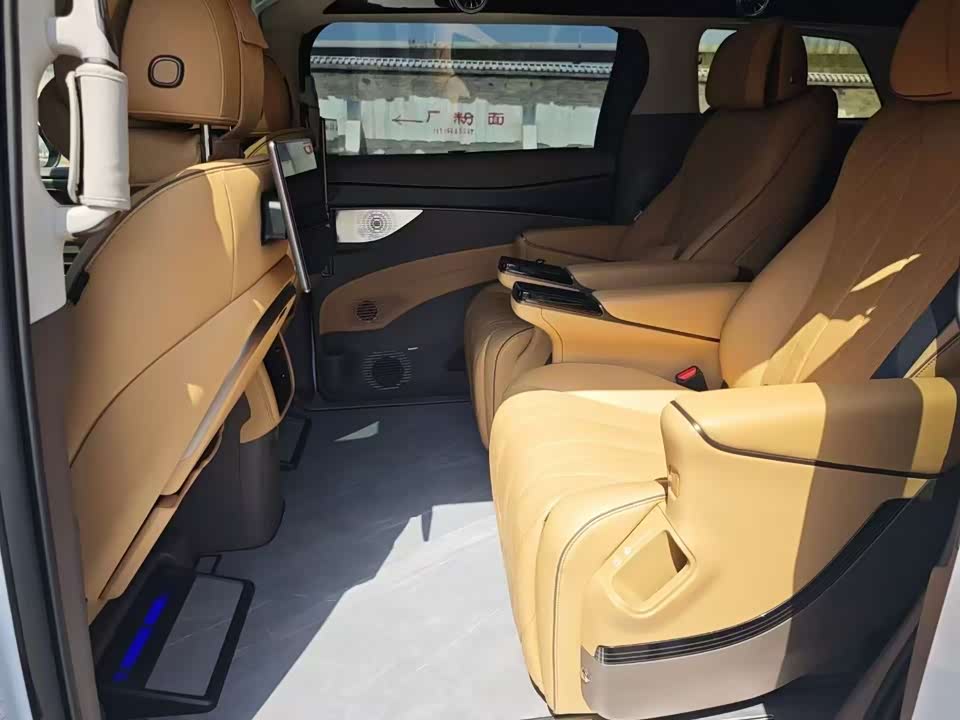 Denza D9 Denza D9