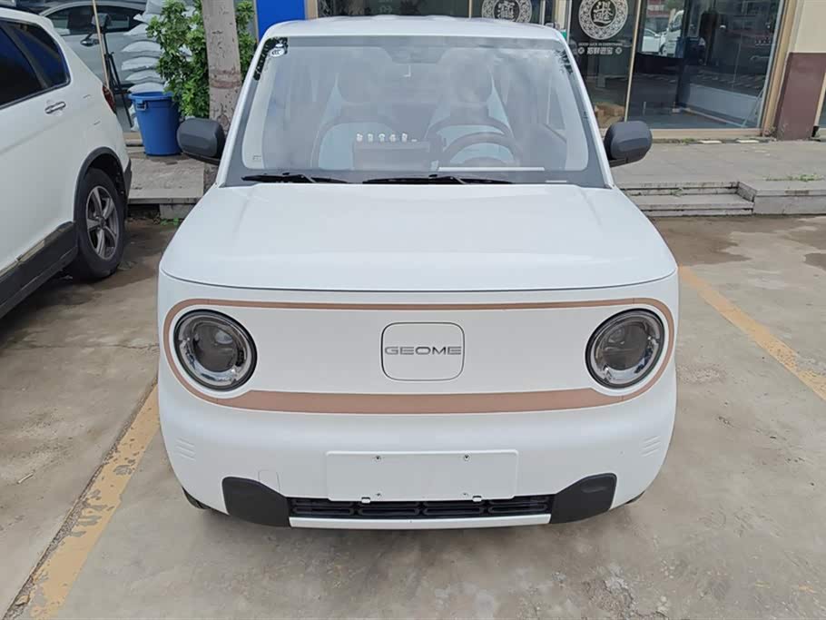 Geely Galaxy panda Geely Galaxy panda