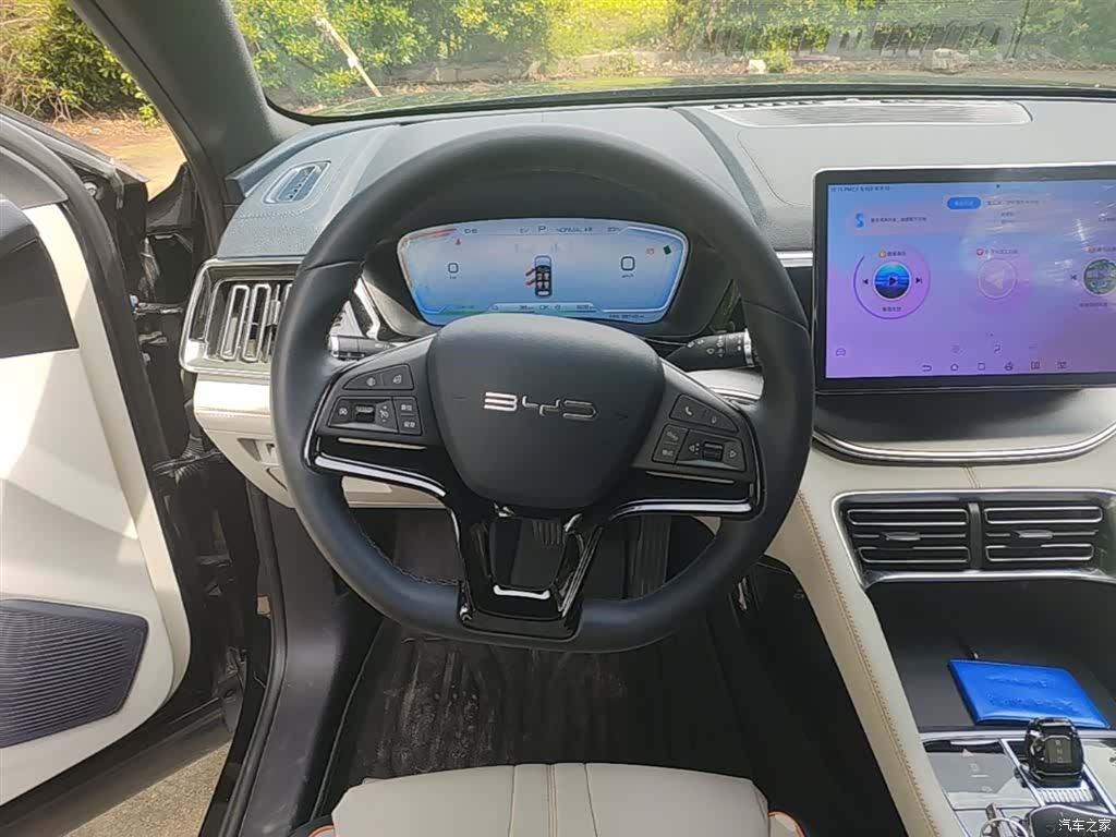 BYD Song, 2024 11