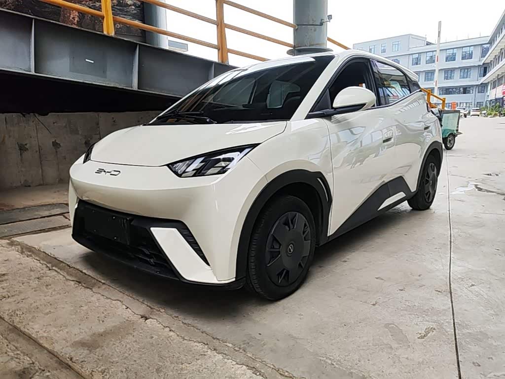 BYD Seagull