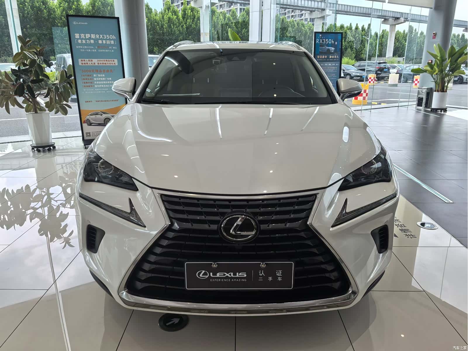 Lexus NX, 2021 2