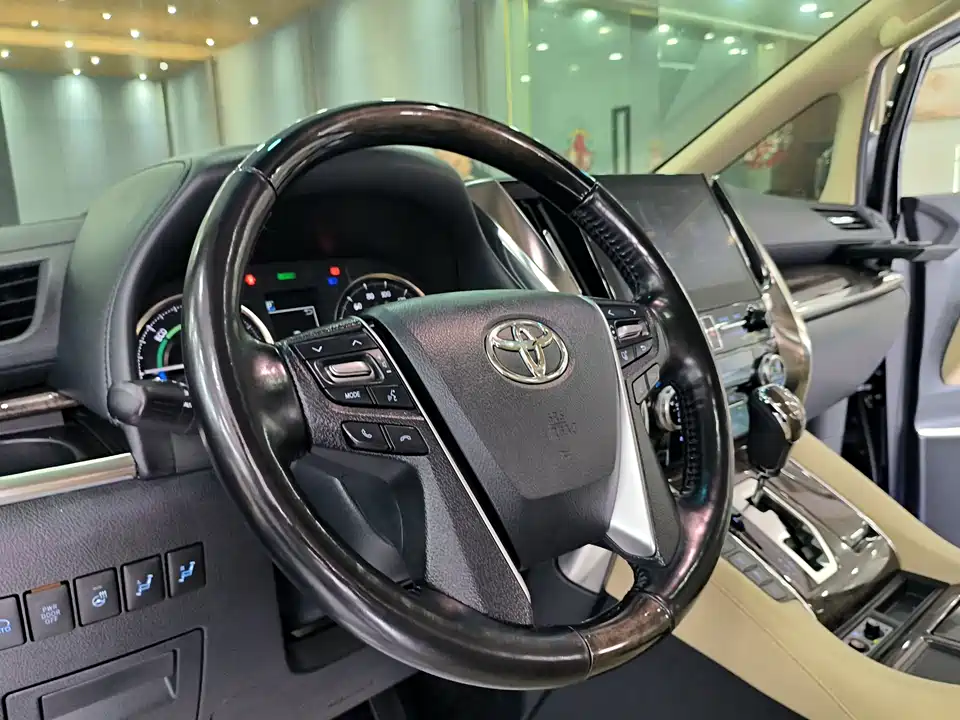 Toyota Elfa