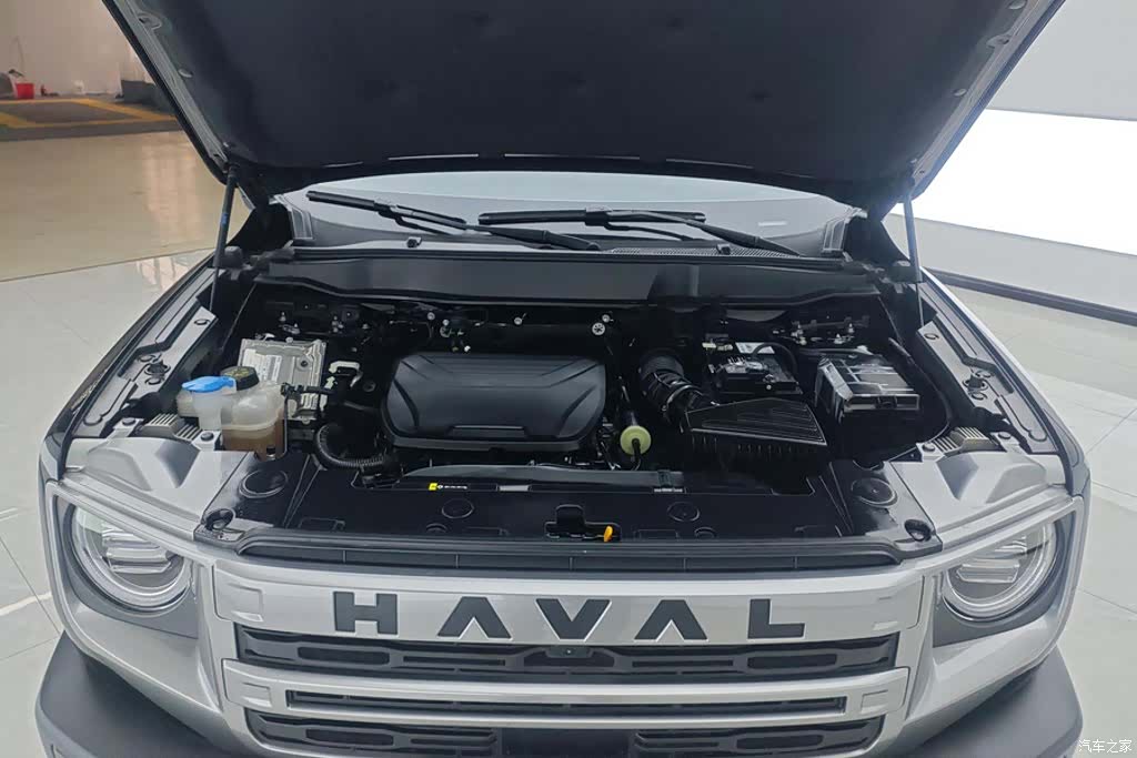 Haval Big Dog, 2024 10