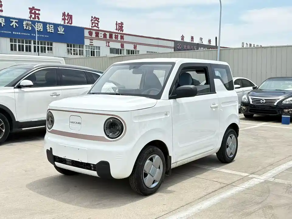 Geely Galaxy panda