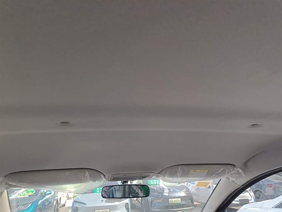 JAC Yttrium is a flower fairy