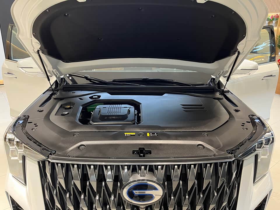 Trumpchi Trumpchi ES9