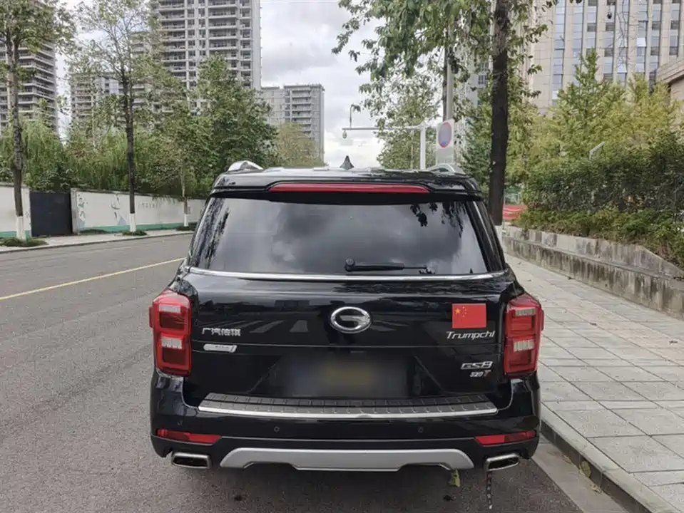 Trumpchi Trumpchi GS8 Trumpchi Trumpchi GS8
