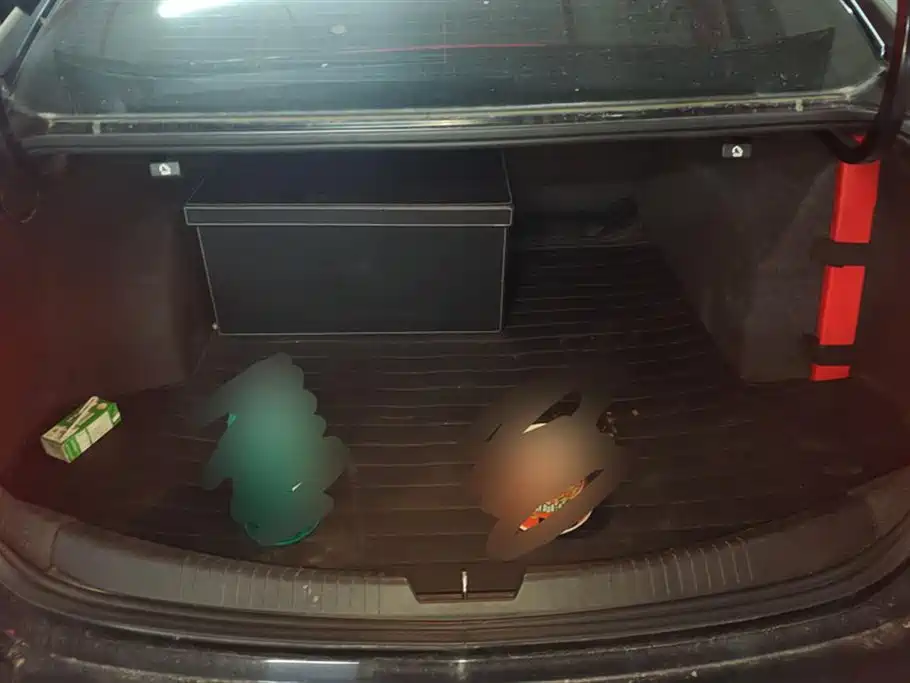 Chevrolet Mai Ruibao XL