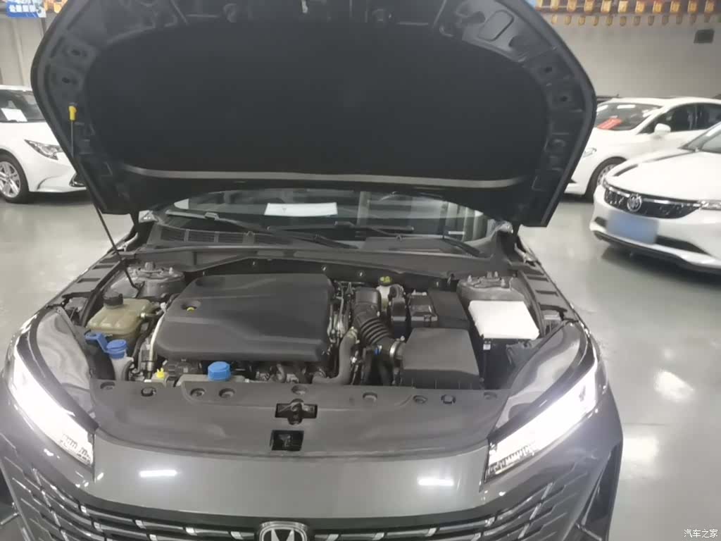 Changan Eado, 2024 20