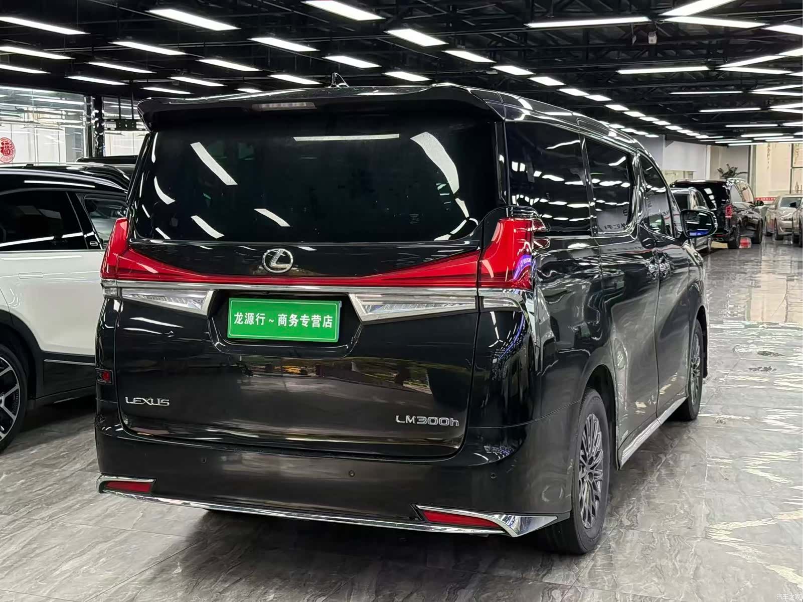 Lexus LM, 2023 9