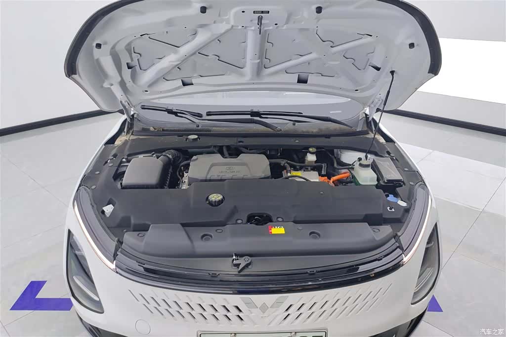 Wuling Starlight, 2026 10