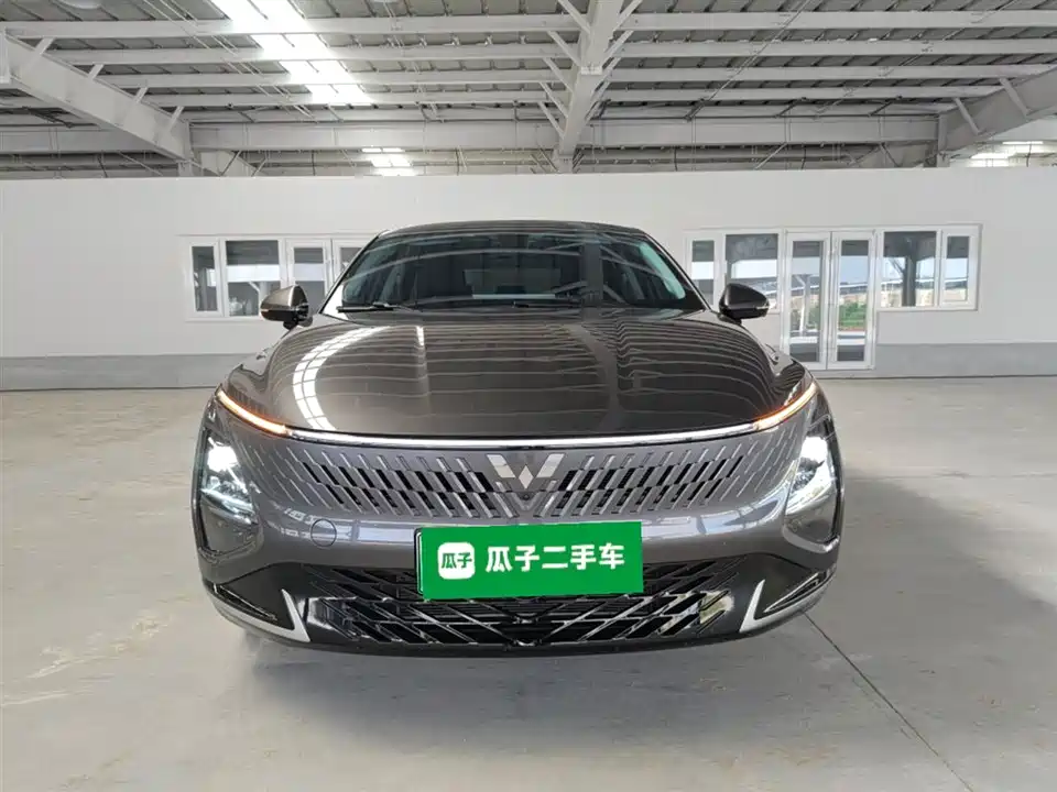 Wuling Wuling Starlight