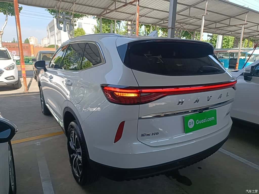 Haval H6, 2024 все фото
