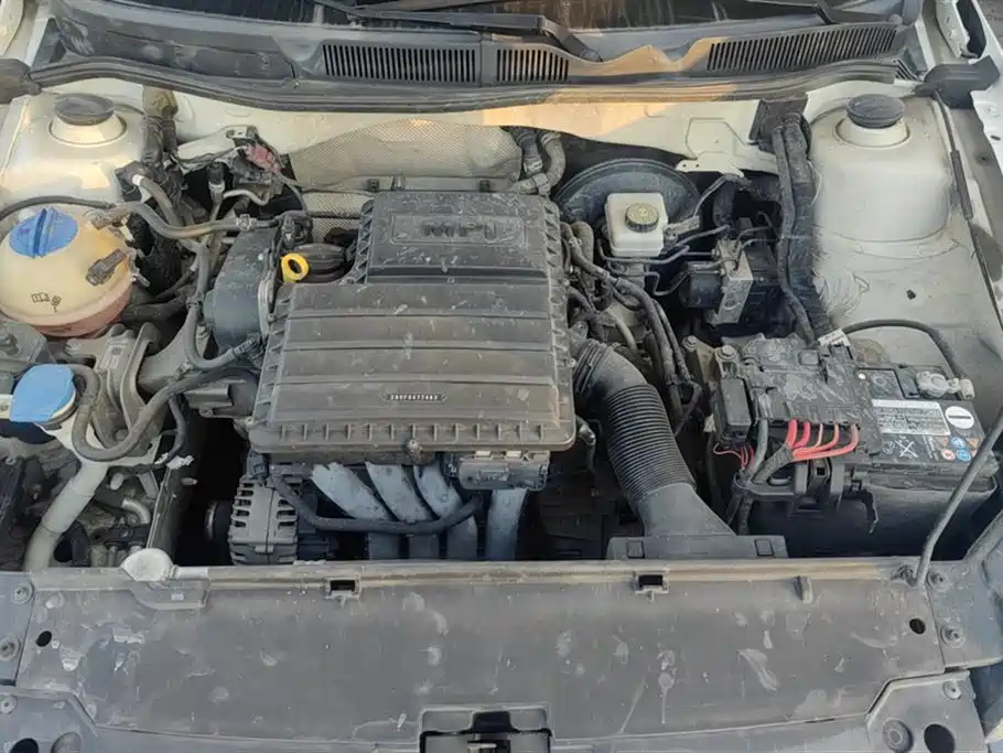 Volkswagen C-TREK Wei Collar