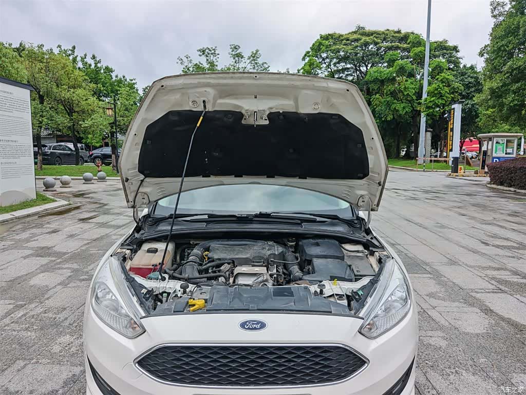 Ford Focus, 2019 15