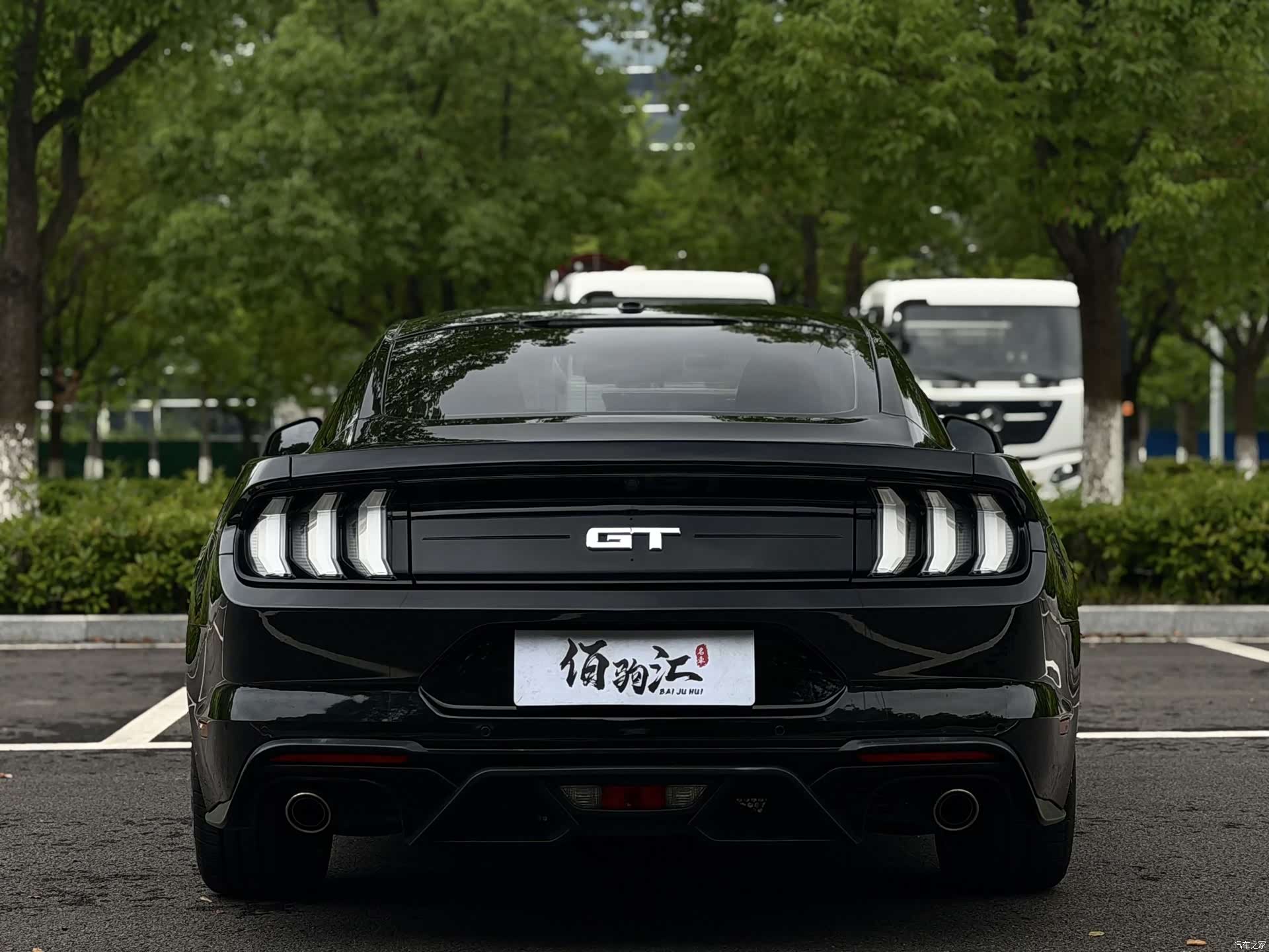 Ford Mustang, 2020 все фото