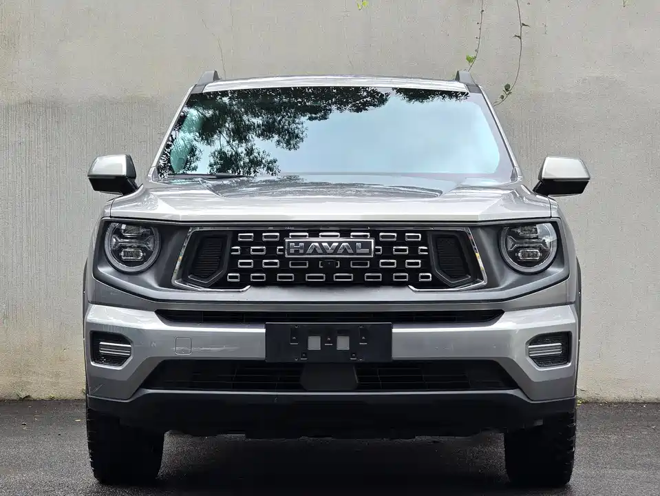 Haval Big Dog PLUS