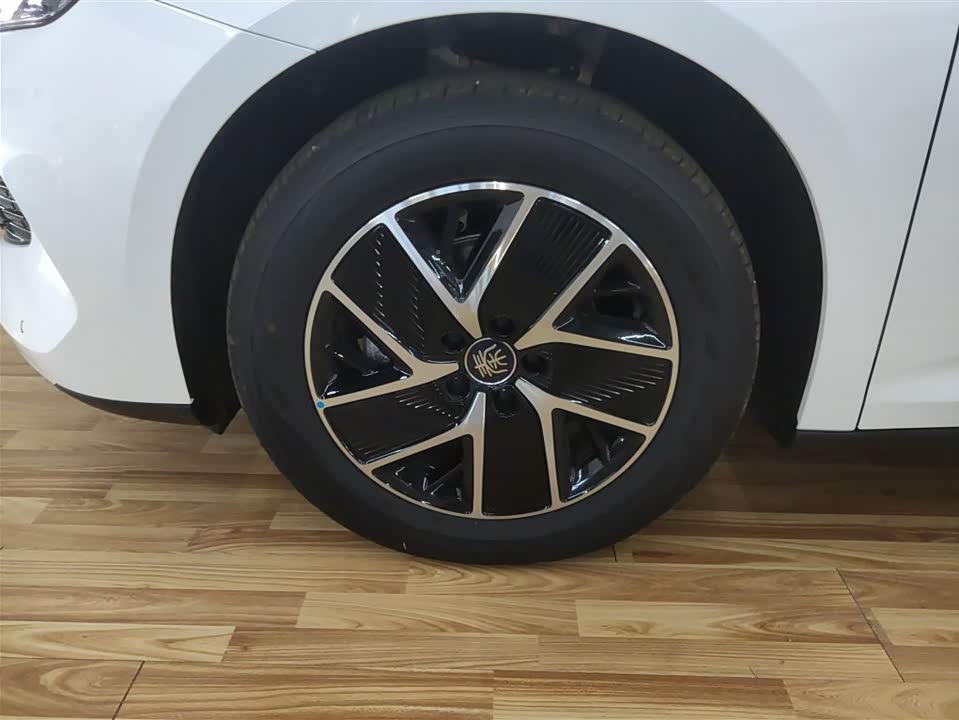 BYD Qin L