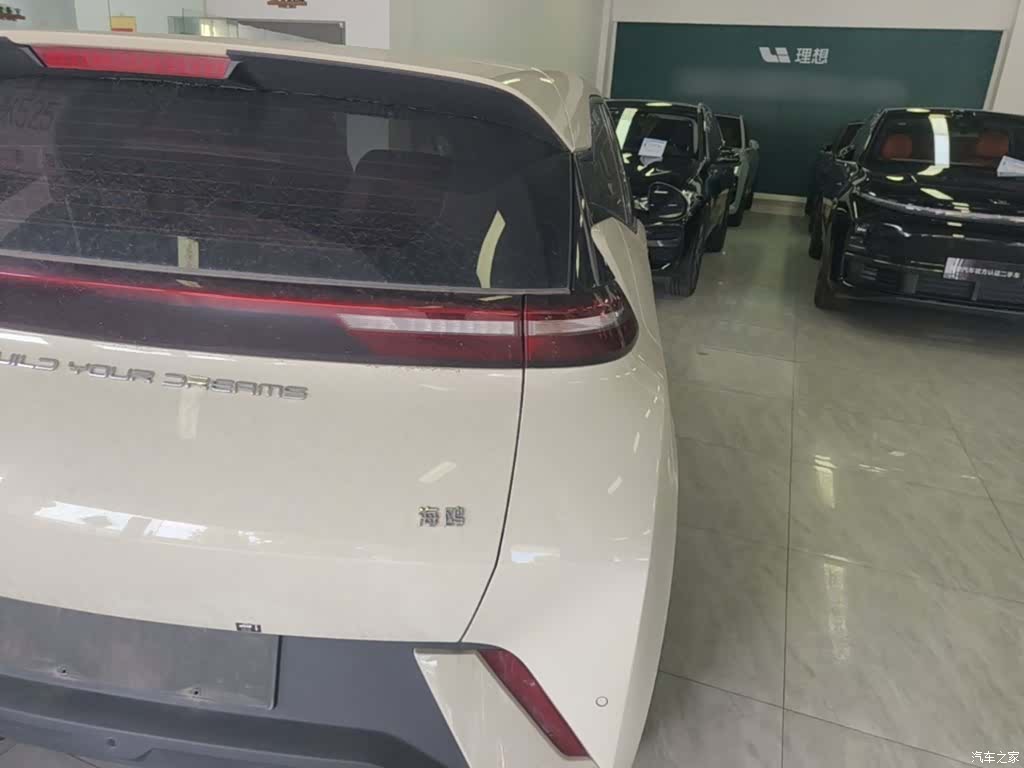 BYD Seagull, 2024 8