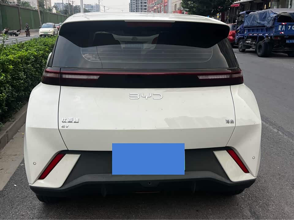BYD Seagull