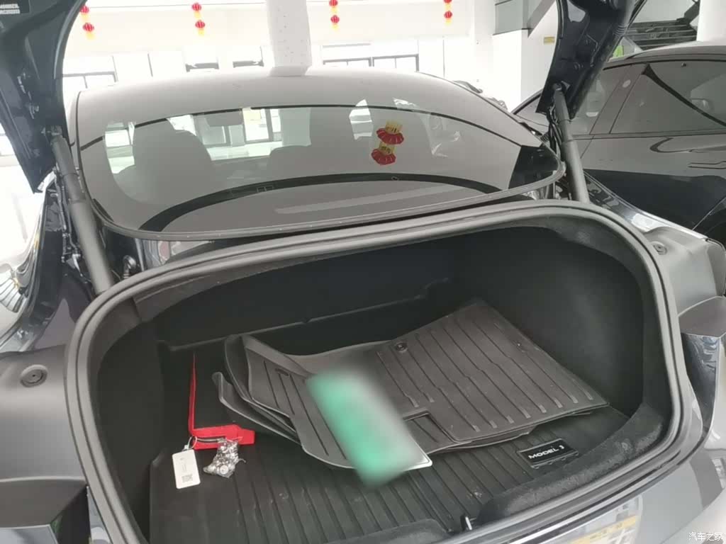 Tesla Model 3, 2024 19