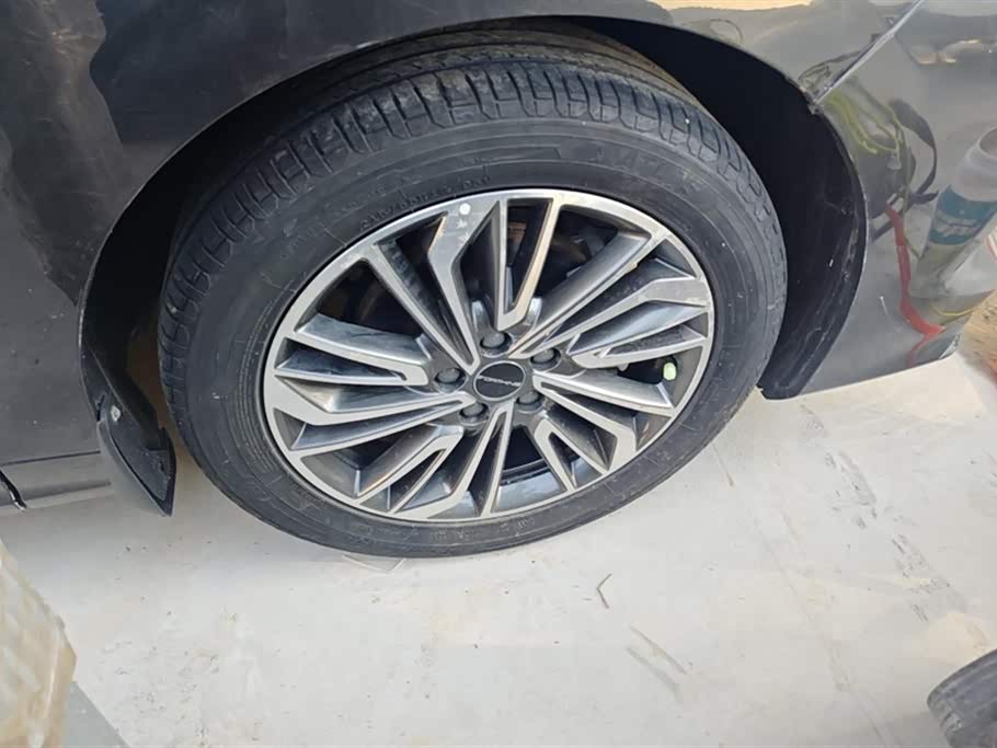 Forthing Popular yachts