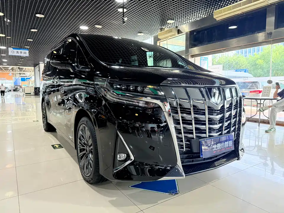 Toyota Elfa