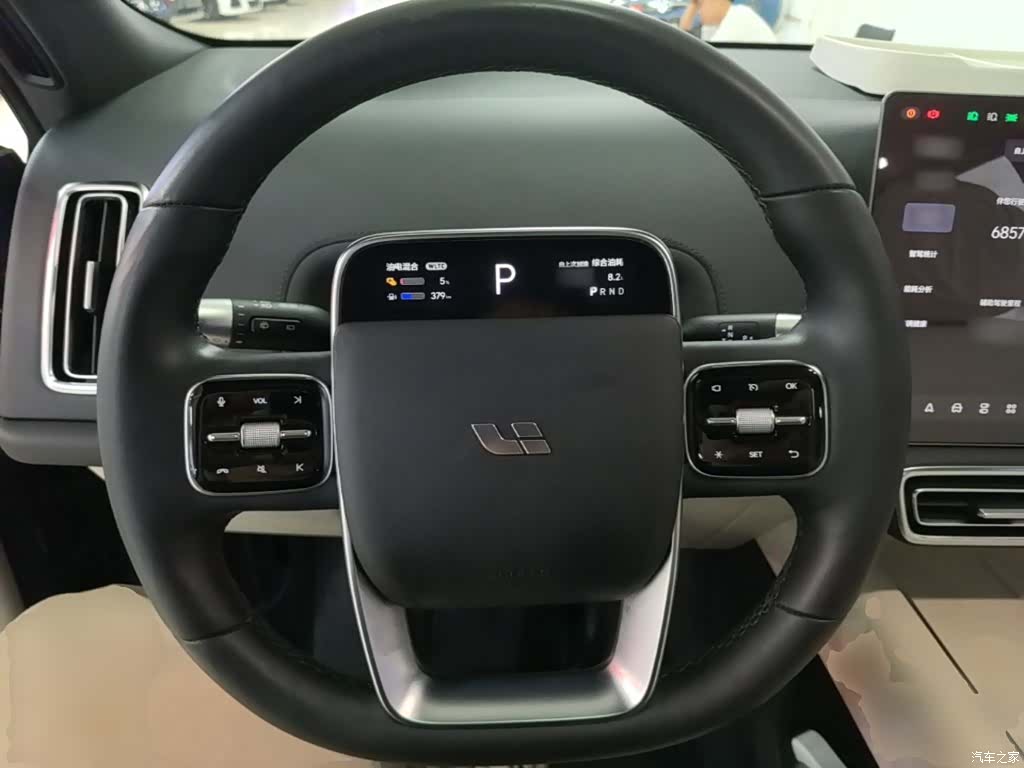 Li Auto L9, 2023 11