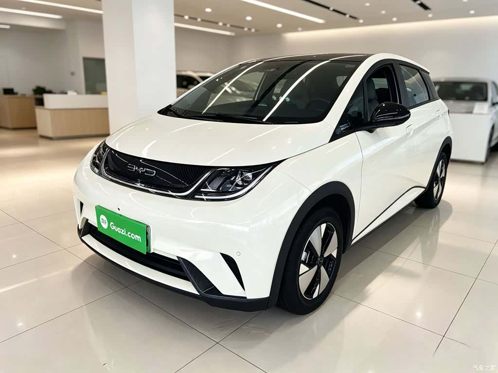 BYD Dolphin, 2023 2