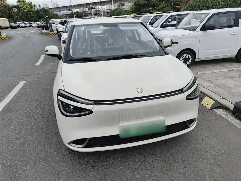 Dongfeng Nammi Nano 01